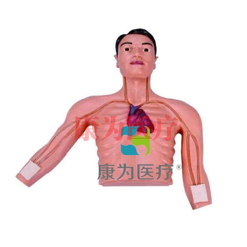 “康為醫(yī)療”P(pán)ICC介入訓(xùn)練模型 “康為醫(yī)療”P(pán)ICC介入訓(xùn)練模型