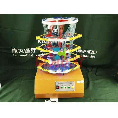 電動醫(yī)學教學模型生產(chǎn)廠家