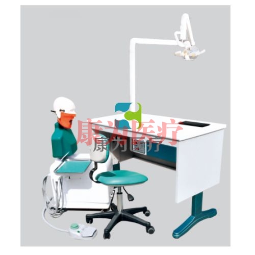 口腔醫(yī)學模型 Dental