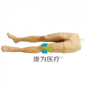 “康為醫(yī)療”大隱靜脈通液訓(xùn)練模型,大隱靜脈切開(kāi)置管訓(xùn)練模型,大隱靜脈通液操作模
