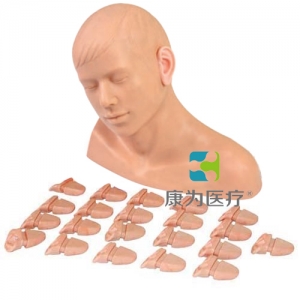 “康為醫(yī)療”高級(jí)耳內(nèi)檢查模型