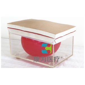 “康為醫(yī)療”開腹關(guān)腹訓(xùn)練模型,開腹、關(guān)腹操作模型