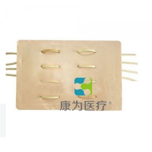 “康為醫(yī)療”不定性血管結(jié)扎模型