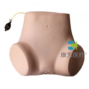 “康為醫(yī)療”四步觸診、肛查、陰道檢查訓(xùn)練模型