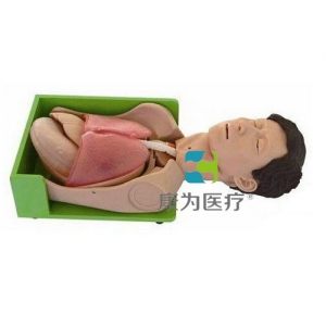 “康為醫(yī)療”胃腸減壓、吸痰標(biāo)準(zhǔn)化模擬病人