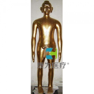 “康為醫(yī)療”166cm仿古針灸銅｜人針灸銅人｜銅人針灸模型｜