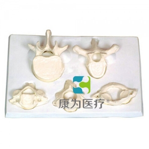 “康為醫(yī)療”寰、樞、頸、胸、腰椎放大