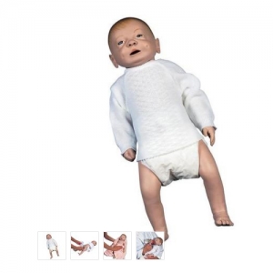 德國3B Scientific?哺乳嬰兒護(hù)理模型，男