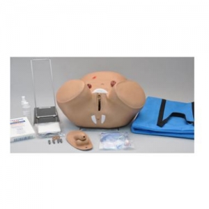 德國3B Scientific?導(dǎo)尿和造瘺護(hù)理模擬，男性和女性