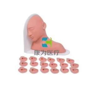 “康為醫(yī)療”高級(jí)耳部檢查模型,高級(jí)耳部檢查模型（14種、19種、25種病變）