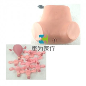 高級(jí)婦科綜合檢查模型(婦科雙合診、三合診檢查模型）