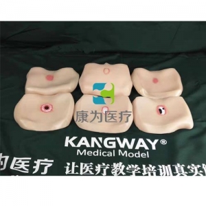 “康為醫(yī)療”各期褥瘡護(hù)理模型