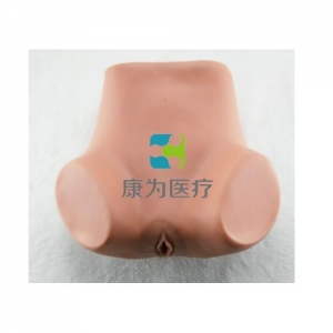 “康為醫(yī)療”子宮底檢查模型,產(chǎn)后子宮底評(píng)定、按摩訓(xùn)練模型,子宮底檢查評(píng)定模型