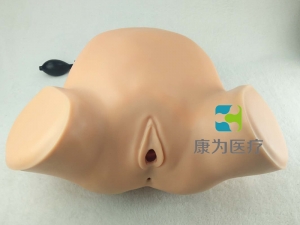 “康為醫(yī)療”婦產(chǎn)科四步觸診肛查陰道檢查監(jiān)測(cè)考核指導(dǎo)模型,高級(jí)腹部觸診、分娩機(jī)轉(zhuǎn)綜合模型