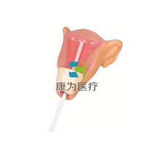 “康為醫(yī)療”高級(jí)宮內(nèi)避孕器訓(xùn)練模型