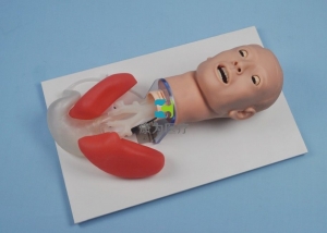 全功能氣道管理模型（基礎(chǔ)款，升級(jí)款） 高級(jí)人體氣管插管訓(xùn)練模型