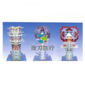 “康為醫(yī)療”深、淺感覺傳導(dǎo)(單件）