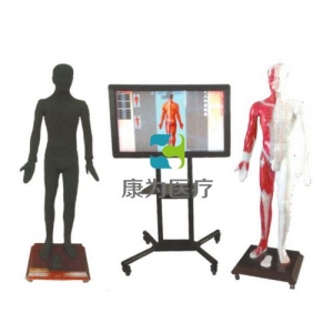“康為醫(yī)療”多媒體人體針灸穴位交互數(shù)字平臺(tái)(19寸、26寸、42寸、52寸、55寸、70寸）