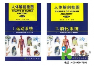 醫(yī)學教學彩色掛圖、軟件、光盤