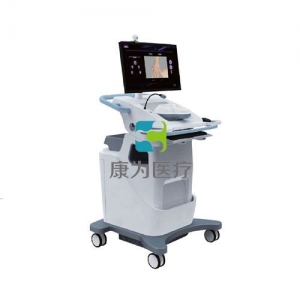 “康為醫(yī)療”靜脈穿刺虛擬訓(xùn)練系統(tǒng)（嬰兒版、教師機(jī)） （情境化靜脈輸液系統(tǒng)）