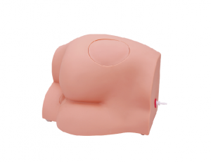 經(jīng)濟型臀部肌內注射操作模型