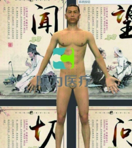 中醫(yī)穴位訓(xùn)練、針灸仿真一體訓(xùn)練系統(tǒng)