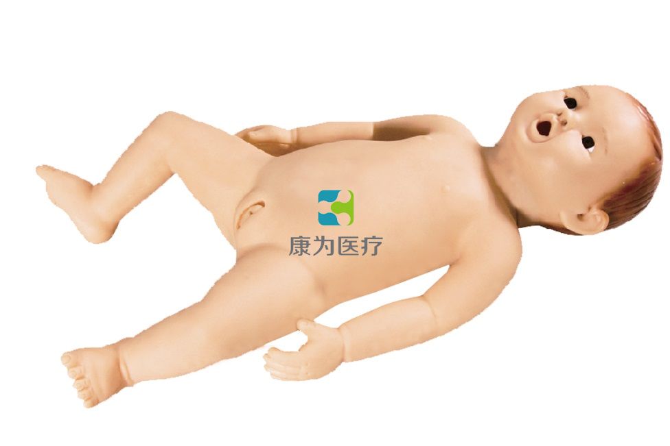 高級(jí)嬰兒腰椎穿刺模型(升級(jí)版) 高級(jí)嬰兒腰椎穿刺模型(升級(jí)版)