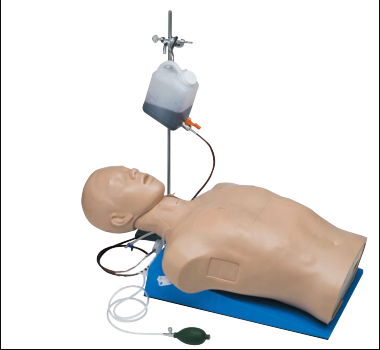 1582525688509702.png 胸部外傷急救模擬人.png