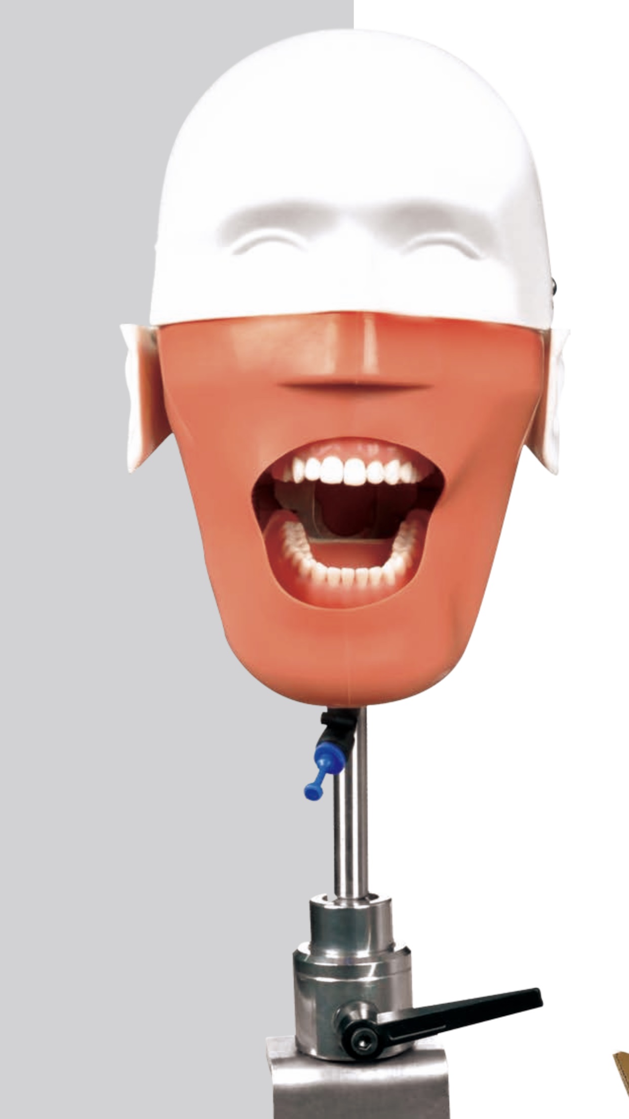 1583387605486694.jpg 1583387605486694.jpg