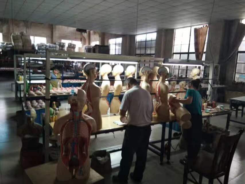 康為醫(yī)療軀干模型生產(chǎn)車間 康為醫(yī)療軀干模型生產(chǎn)車間