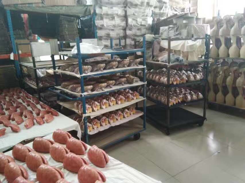 康為醫(yī)療軀干模型生產(chǎn)車間 康為醫(yī)療軀干模型生產(chǎn)車間