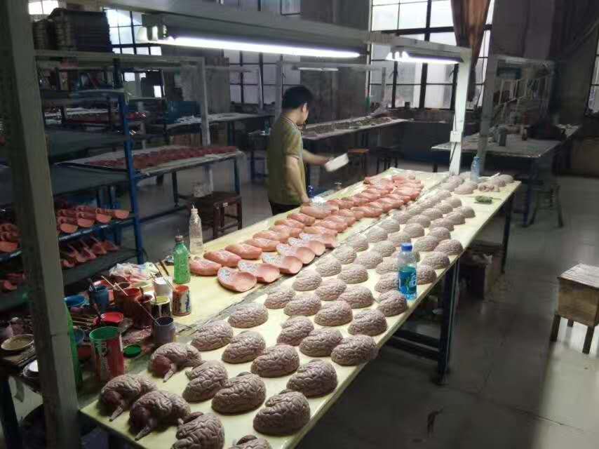 康為醫(yī)療軀干模型生產(chǎn)車間 康為醫(yī)療軀干模型生產(chǎn)車間