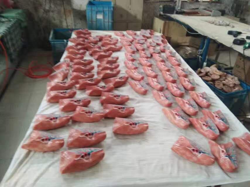 康為醫(yī)療軀干模型生產(chǎn)車間 康為醫(yī)療軀干模型生產(chǎn)車間