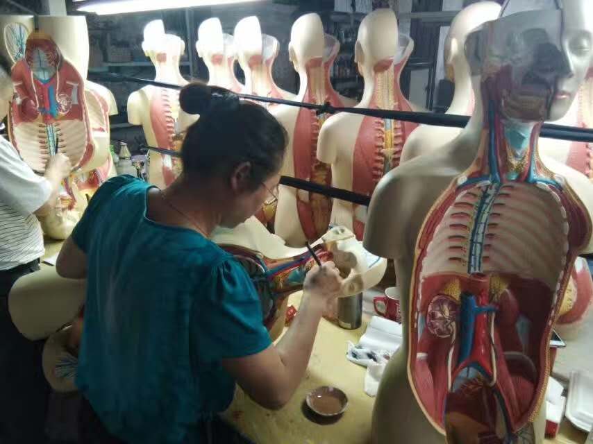 康為醫(yī)療軀干模型生產(chǎn)車間 康為醫(yī)療軀干模型生產(chǎn)車間