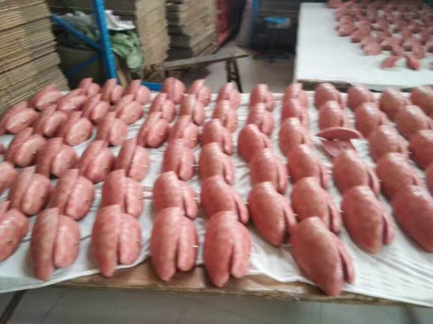 康為醫(yī)療軀干模型生產(chǎn)車間 康為醫(yī)療軀干模型生產(chǎn)車間