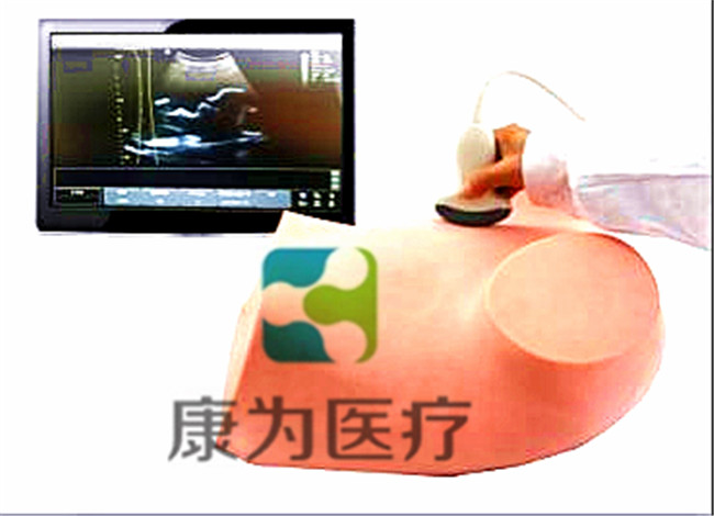 超聲引導(dǎo)下羊膜穿刺術(shù)訓(xùn)練模型