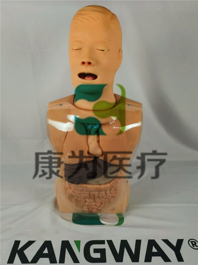 "康為醫(yī)療NM2319高級鼻淚管通液訓練模型,淚道沖洗訓練模型,淚道探通術訓練模型 "康為醫(yī)療NM2319高級鼻淚管通液訓練模型,淚道沖洗訓練模型,淚道探通術訓練模型