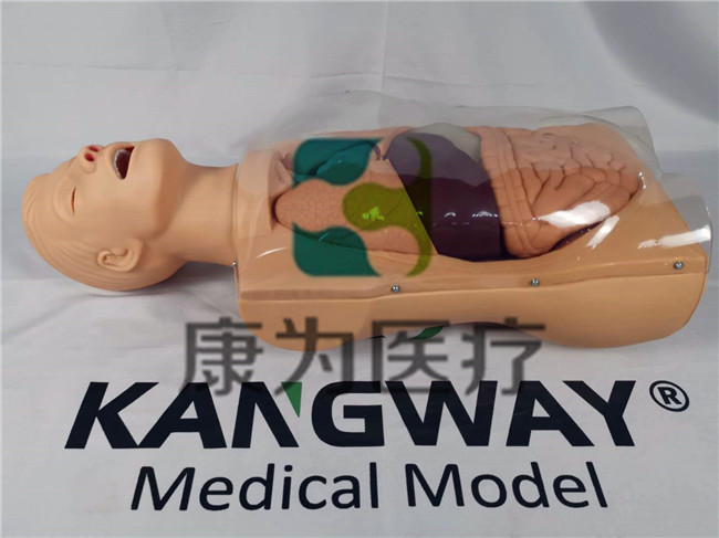 高級(jí)鼻淚管通液訓(xùn)練模型,淚道沖洗訓(xùn)練模型,淚道探通術(shù)訓(xùn)練模型 高級(jí)鼻淚管通液訓(xùn)練模型,淚道沖洗訓(xùn)練模型,淚道探通術(shù)訓(xùn)練模型