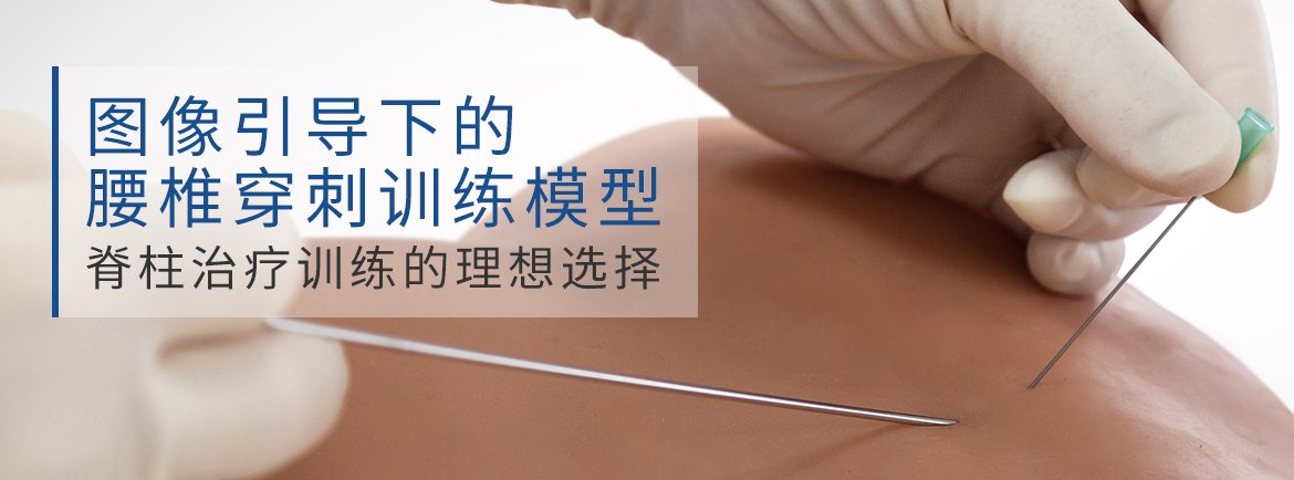 圖像影像引導下的腰椎介入治療訓練模型 圖像影像引導下的腰椎介入治療訓練模型