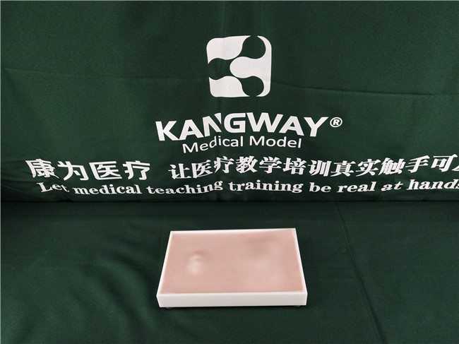 膿腫鑒別與切開操作模塊 膿腫鑒別與切開操作模塊