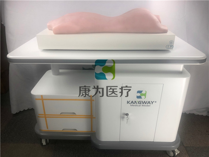 中醫(yī)拔罐、推拿、艾灸、刮痧、砭術技能訓練模型