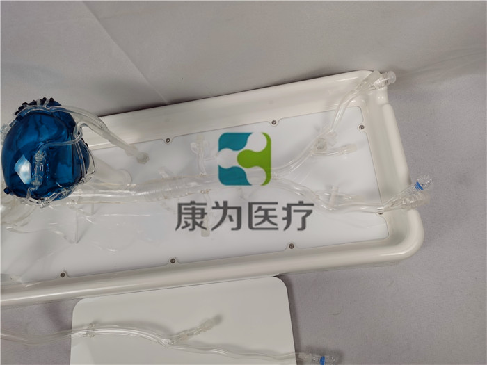 冠脈微創(chuàng)手術介入模擬訓練模型,冠脈模擬器,冠脈模型