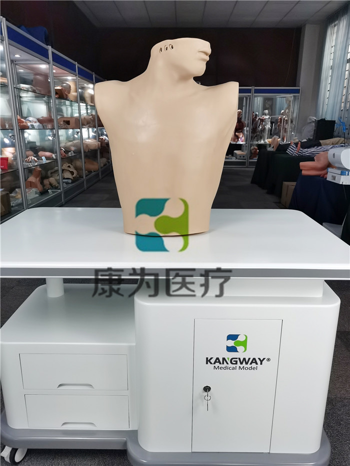 臂叢神經(jīng)阻滯訓(xùn)練模型 臂叢神經(jīng)阻滯訓(xùn)練模型