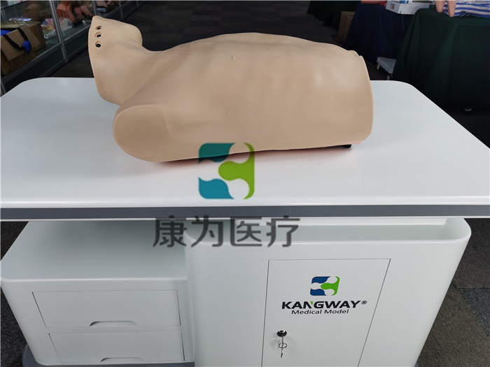 臂叢神經(jīng)阻滯訓(xùn)練模型 臂叢神經(jīng)阻滯訓(xùn)練模型