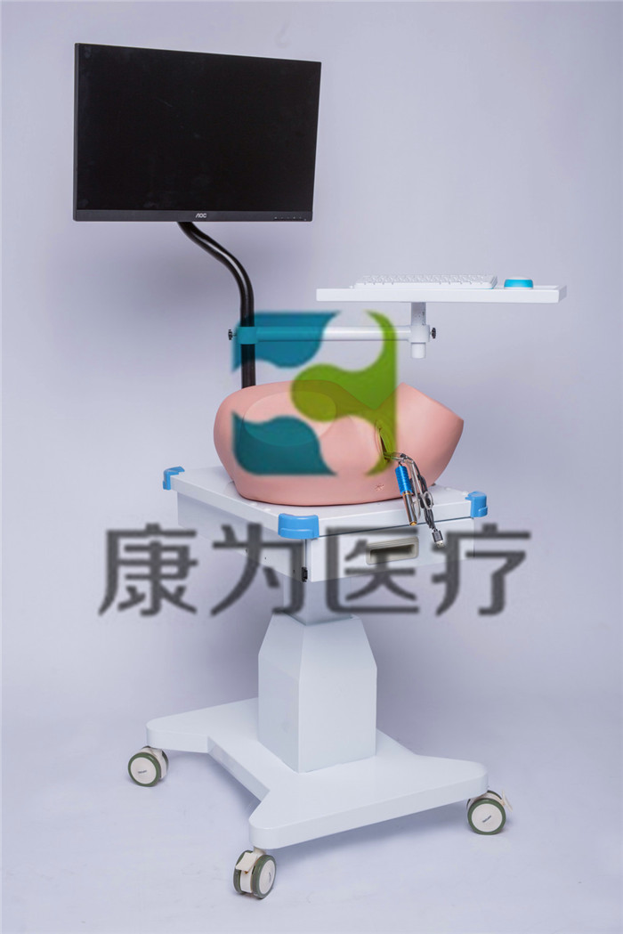 KANGWAY?LAPHHST宮腔鏡手術(shù)模擬訓(xùn)練系統(tǒng) KANGWAY?LAPHHST宮腔鏡手術(shù)模擬訓(xùn)練系統(tǒng)