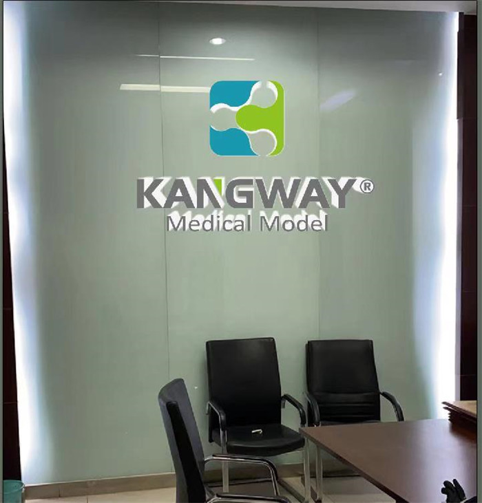 康為醫(yī)療河北銷售分公司 康為醫(yī)療河北銷售分公司