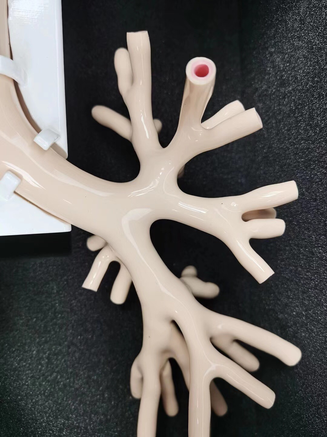 仿真支氣管鏡模擬訓(xùn)練器 仿真支氣管鏡模擬訓(xùn)練器