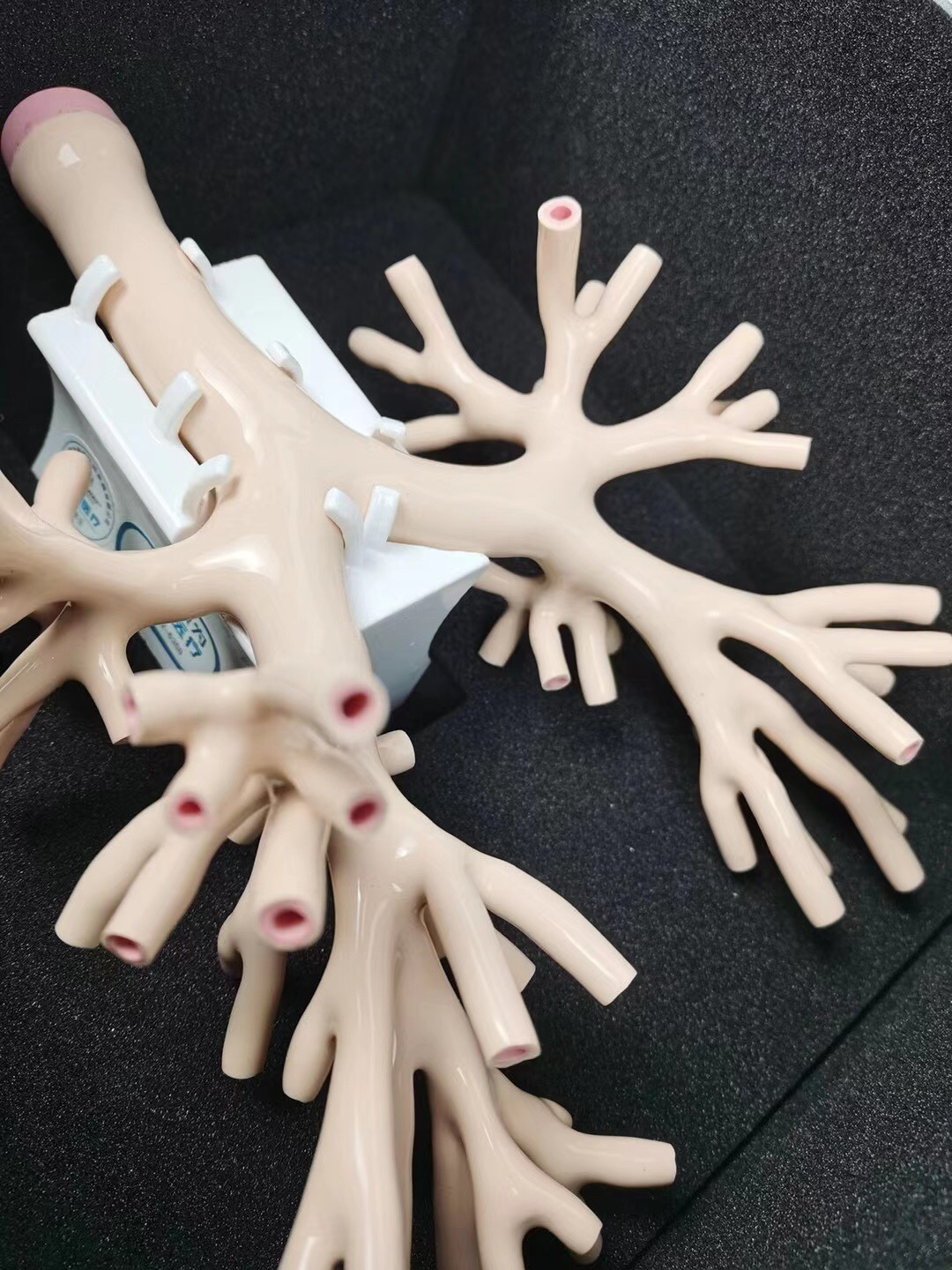 仿真支氣管鏡模擬訓(xùn)練器 仿真支氣管鏡模擬訓(xùn)練器