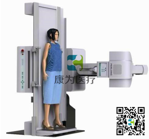 教學(xué)用仿真數(shù)字胃腸機(jī)