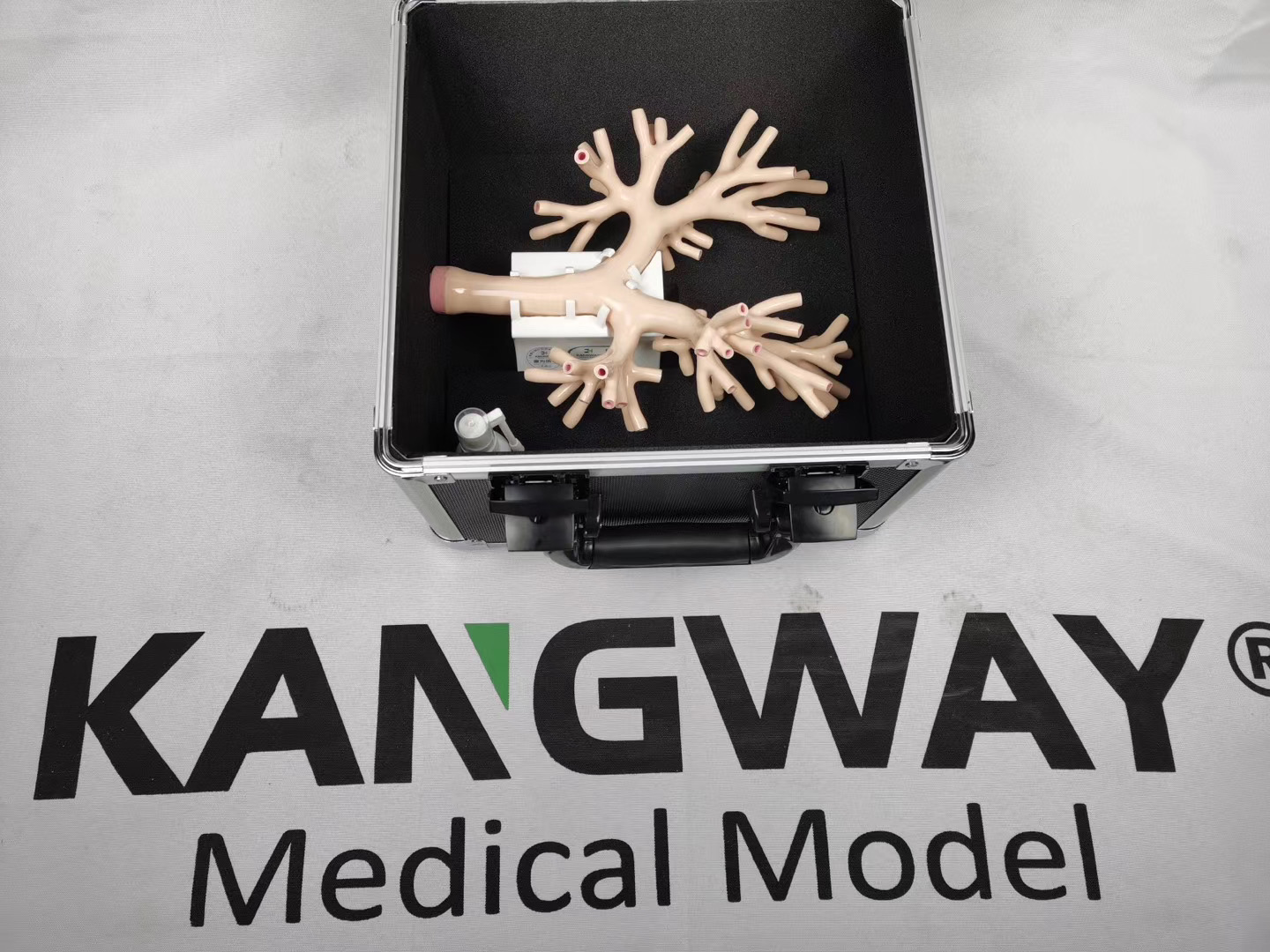 支氣管鏡訓(xùn)練模擬器 支氣管鏡訓(xùn)練模擬器